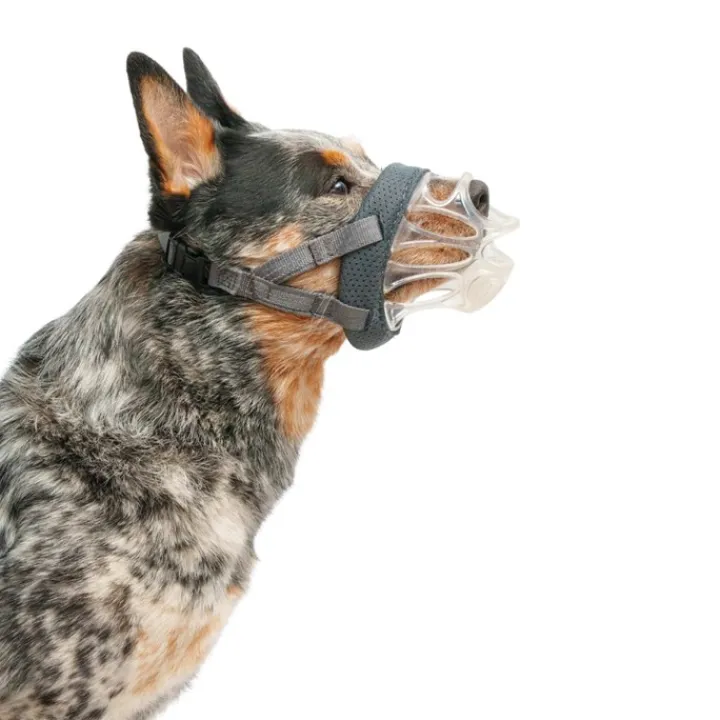 Baskervile Baskerville INVISA Clear Dog Muzzle Best