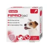 Beaphar FIPROtec Spot-On Small Dog Clearance