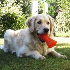 Bionic Bone Large Dog Toy New