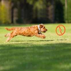 Bionic Toss-N-Tug Ring Dog Toy Discount