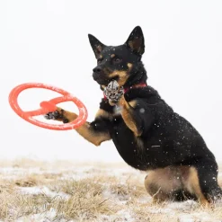 Bionic Toss-N-Tug Ring Dog Toy Discount