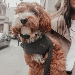 By Teddy Bouclé Adjustable Harness Midnight New