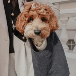 By Teddy Bouclé Dog Carrier Midnight Sale