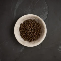 Canagan Dental Dry Cat Food Clearance