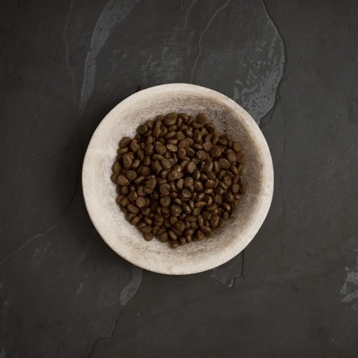 Canagan Dental Dry Cat Food Clearance