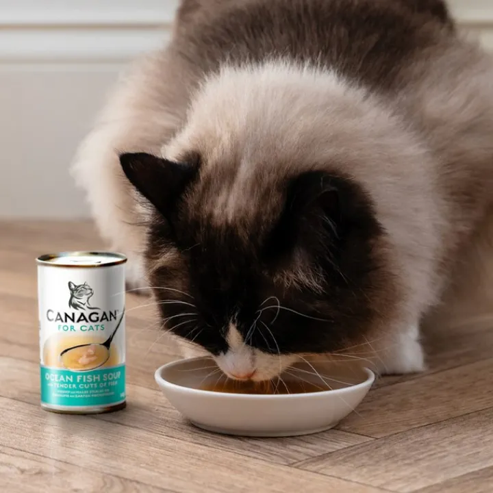 Canagan Fish Cat Soup 140g Best
