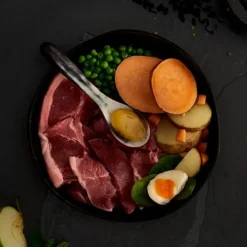 Canagan Grass Fed Lamb Dry Dog Food Best