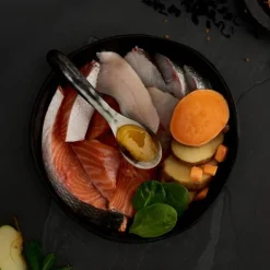Canagan Scottish Salmon Dry Cat Food Outlet