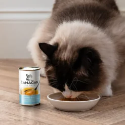 Canagan Tuna Cat Soup 140g Outlet