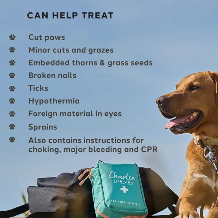 Charlie the Vet Pet First Aid Kit Best