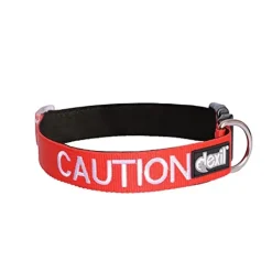 Dexil CAUTION Awareness Dog Collar Online