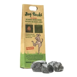 Dog Rocks New
