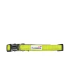 Doodlebone Padded Dog Collar Citrus Online