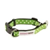 Doodley Dogs Green Ribbon Dog Collar Fashion