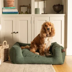Fantail Basket Snooze Origin Botanical Green Dog Bed Clearance