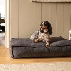 Fantail Mattress Stargaze Mellow Smoke Grey Dog Bed Fashion