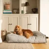 Fantail Mattress Stargaze Origin Silver Spoon Dog Bed Clearance