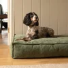 Fantail Mattress Stargaze Mellow Emerald Green Dog Bed Online