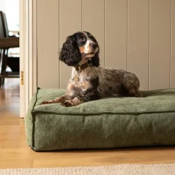 Fantail Mattress Stargaze Mellow Emerald Green Dog Bed Online