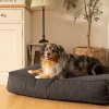 Fantail Mattress Stargaze Origin Epic Grey Dog Bed Discount