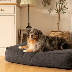 Fantail Mattress Stargaze Origin Epic Grey Dog Bed Discount
