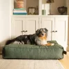 Fantail Mattress Stargaze Origin Botanical Green Dog Bed Fashion