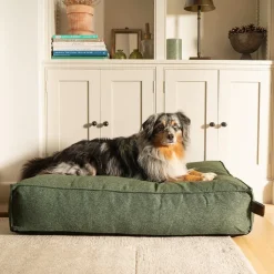 Fantail Mattress Stargaze Origin Botanical Green Dog Bed Fashion