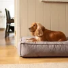 Fantail Mattress Stargaze Origin Nut Grey Dog Bed Sale