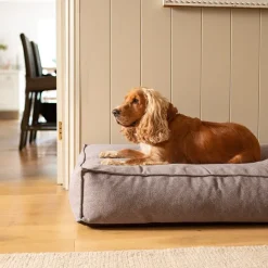 Fantail Mattress Stargaze Origin Nut Grey Dog Bed Sale