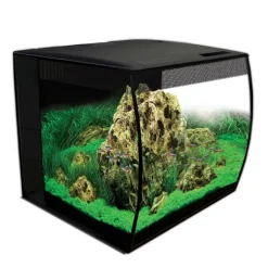 Fluval Flex Black 57L Aquarium Kit Best