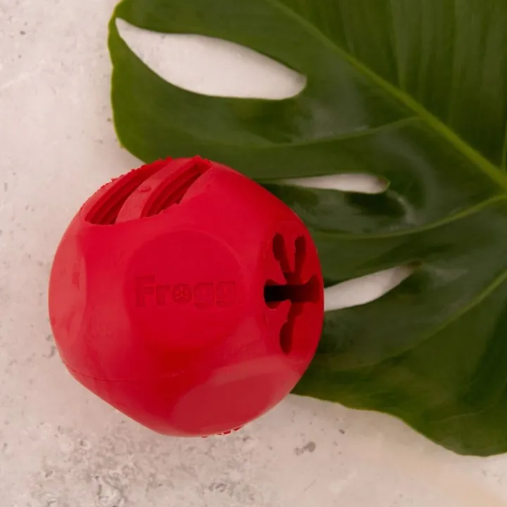 Frogg Bobby Ball Tough Dog Toy Best