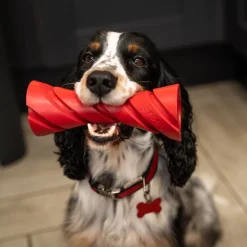 Frogg Dumbbell Tough Dog Toy Outlet