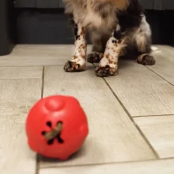 Frogg Egg Red Tough Dog Toy Fashion
