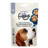 Frozzys Frozzy's Yogurt and Blueberry Superbite Dog Treats Sale