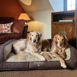 George Barclay Country Dog Sofa Bed Chestnut Brown Clearance