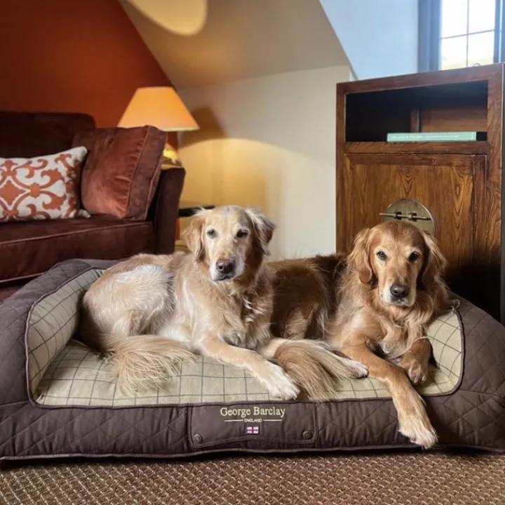 George Barclay Country Dog Sofa Bed Chestnut Brown Clearance