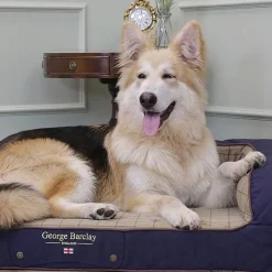 George Barclay Country Dog Sofa Bed Midnight Blue Outlet