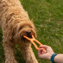 Great & Small 99% Natural Rubber Pull Dog Toy Online