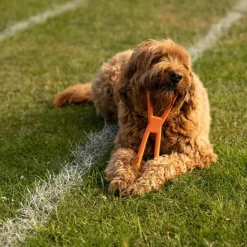 Great & Small 99% Natural Rubber Pull Dog Toy Online