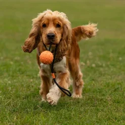 Great & Small 99% Natural Rubber Ball with Rope Dog Toy Outlet