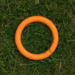 Great & Small 99% Natural Rubber Ring Dog Toy Best