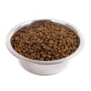 Great & Small 100% Pure Stainless Steel Tough Pet Bowl Online