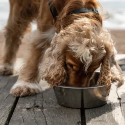 Great & Small 100% Pure Stainless Steel Tough Pet Bowl Online