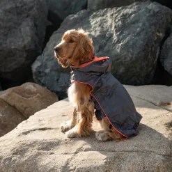 Great & Small Active Foldaway Dog Rain Coat Outlet