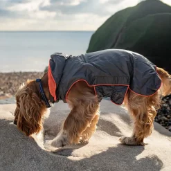 Great & Small Active Foldaway Dog Rain Coat Outlet