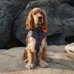 Great & Small Active Foldaway Dog Rain Coat Outlet