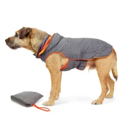 Great & Small Active Foldaway Dog Rain Coat Outlet