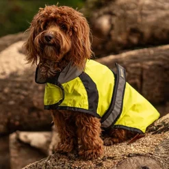 Great & Small Active Hi-Vis Running Dog Jacket Hot