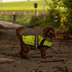 Great & Small Active Hi-Vis Running Dog Jacket Hot