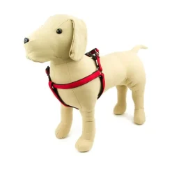 Great & Small Active Neoprene Dog Harness Red Sale